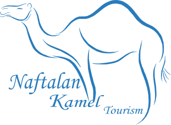 Naftalan Kamel Tourism